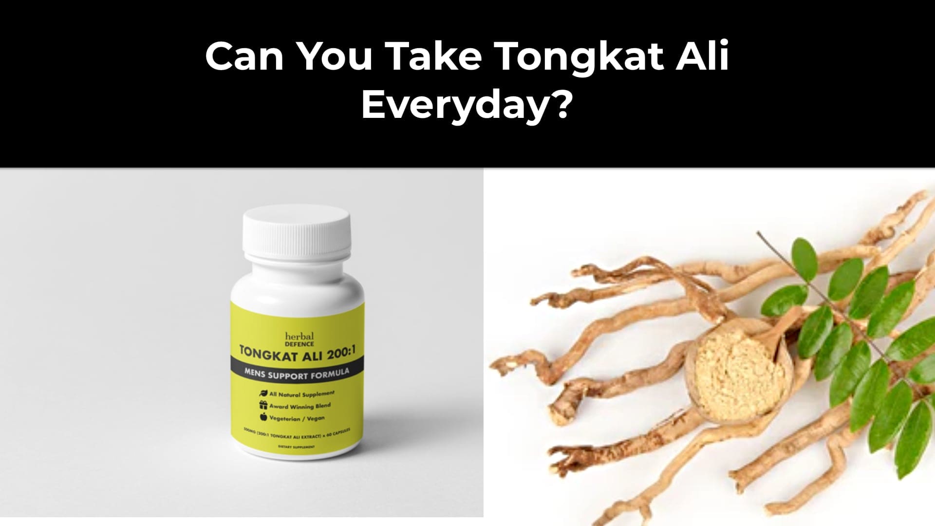 Can You Take Tongkat Ali Everyday