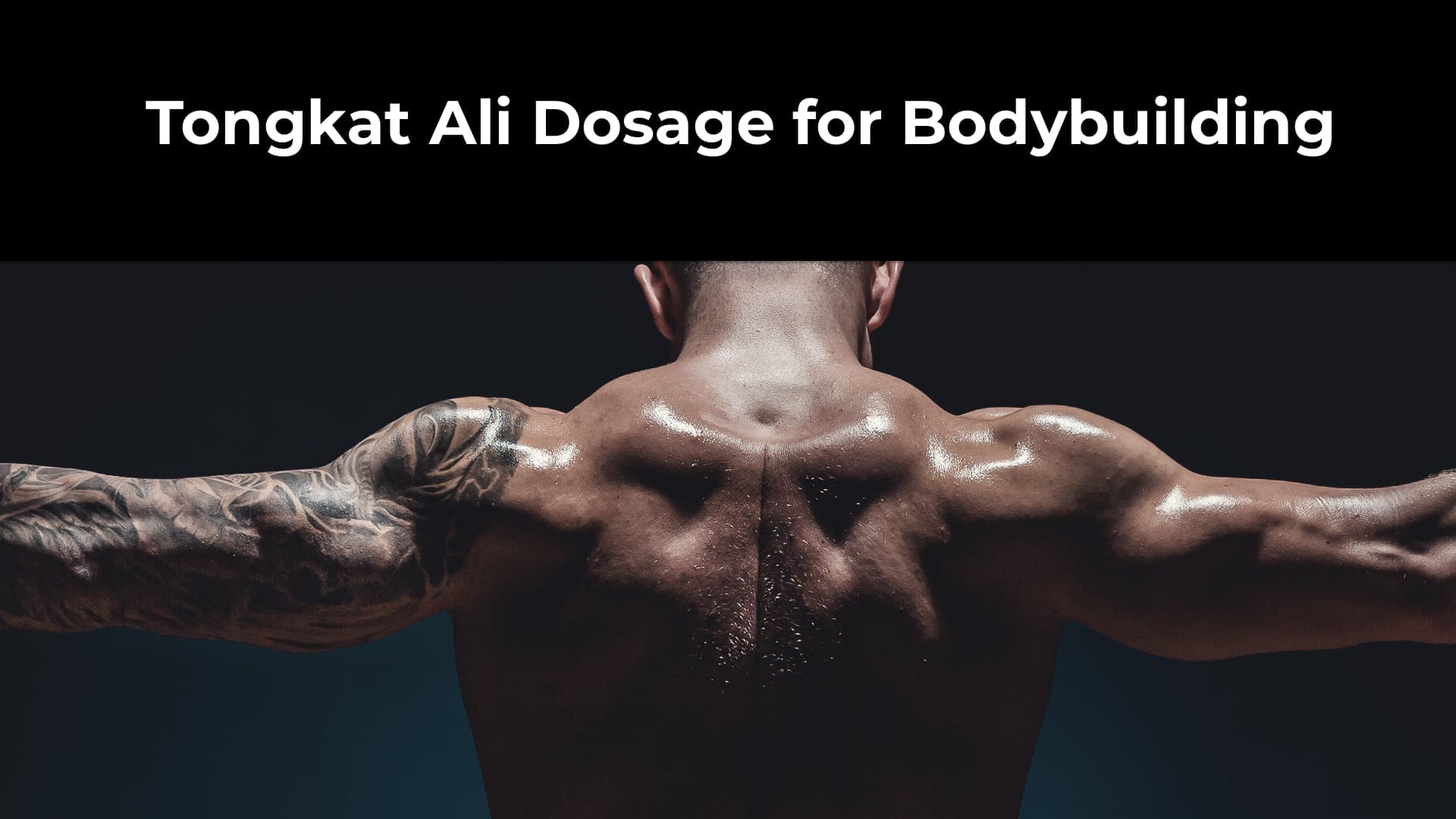 Tongkat Ali Dosage for Bodybuilding