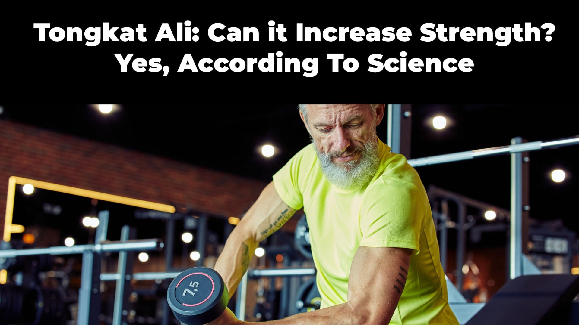 Tongkat Ali- Can it Increase Strength? Yes, According To Science