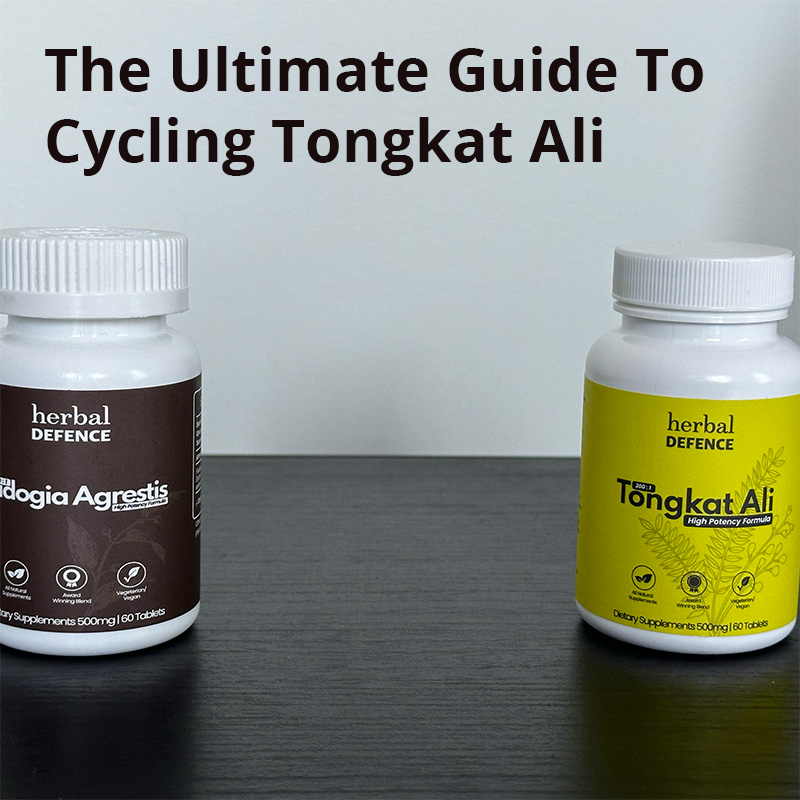 Cycling Tongkat Ali Ultimate Guide Cover