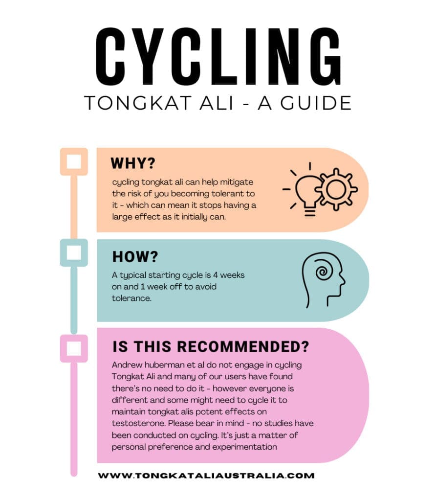 Ultimate Tongkat ALi Cycling Guide Infographic Why and How To Cycle Tongkat Ali