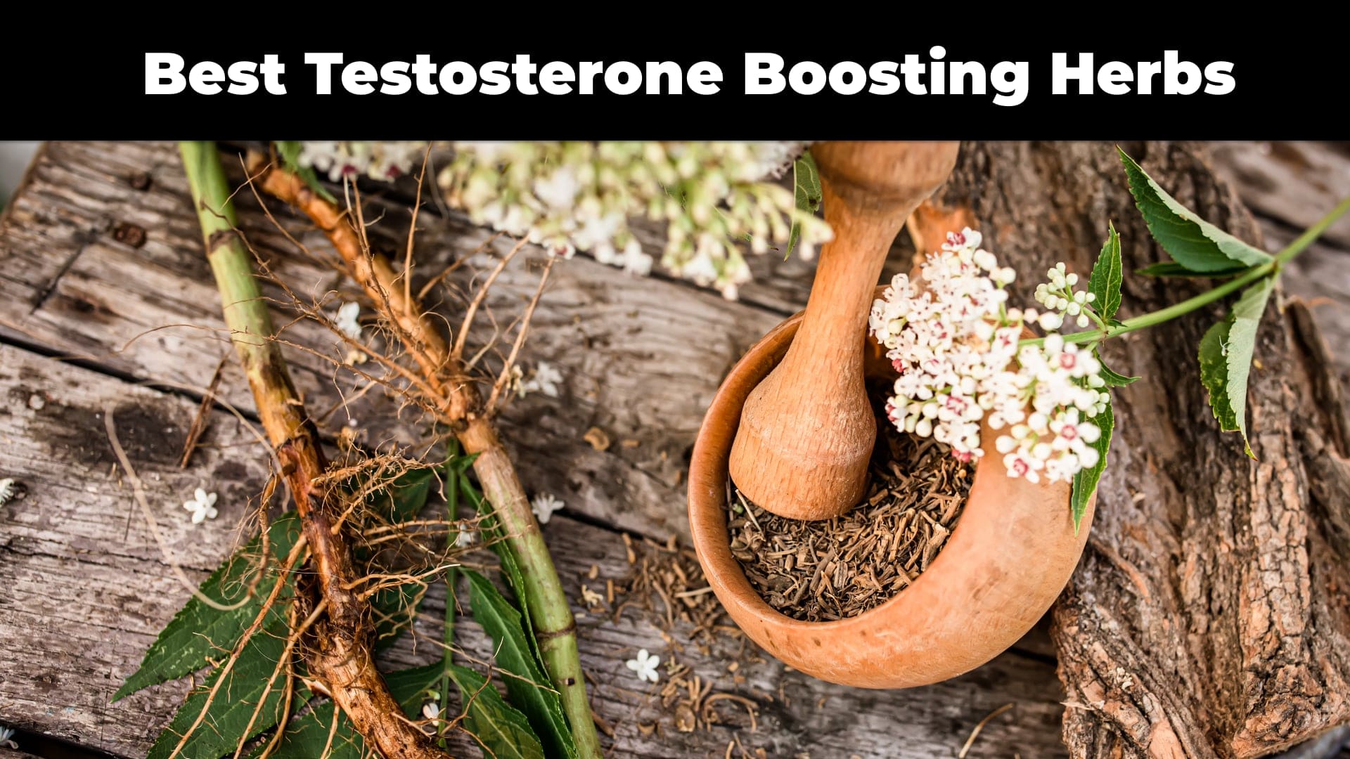 best testoterone boosting herbs natural